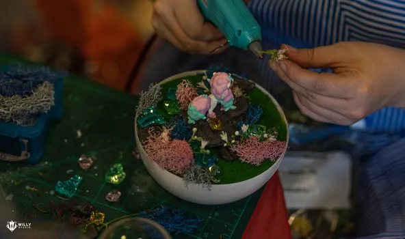 Copyright : William Studio